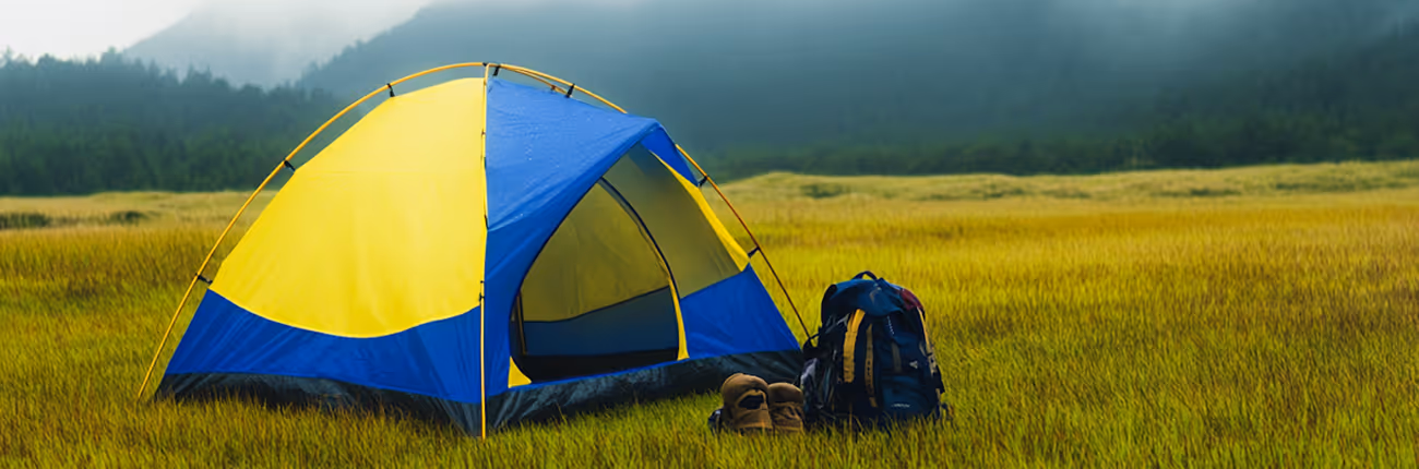 category detail image