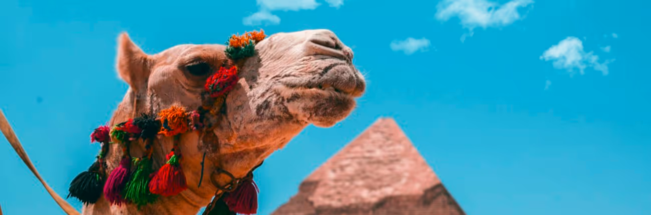 category detail image