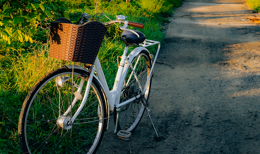 category detail image