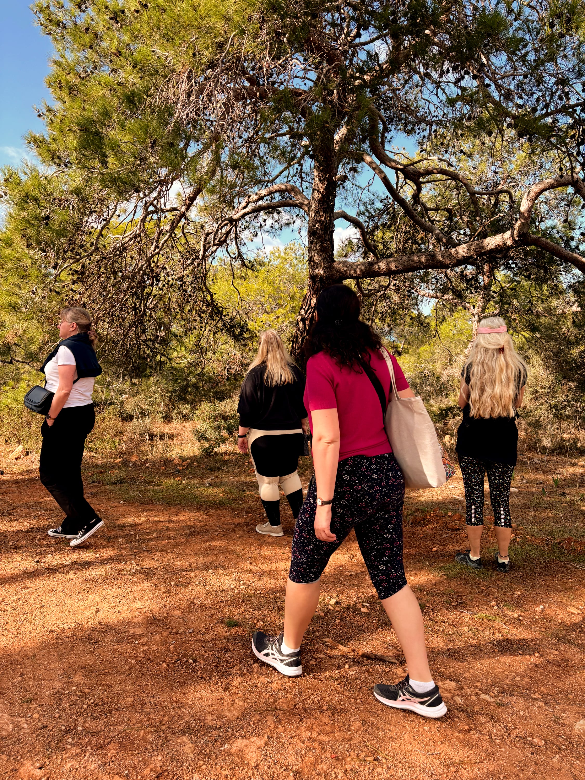 Kursteilnehmer beim wandern in der Natur