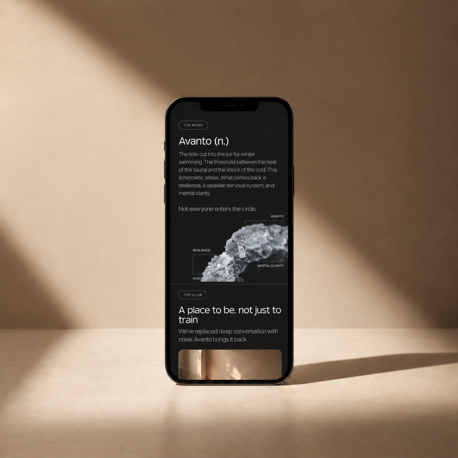 Avanto mobile website displayed on a black phone.