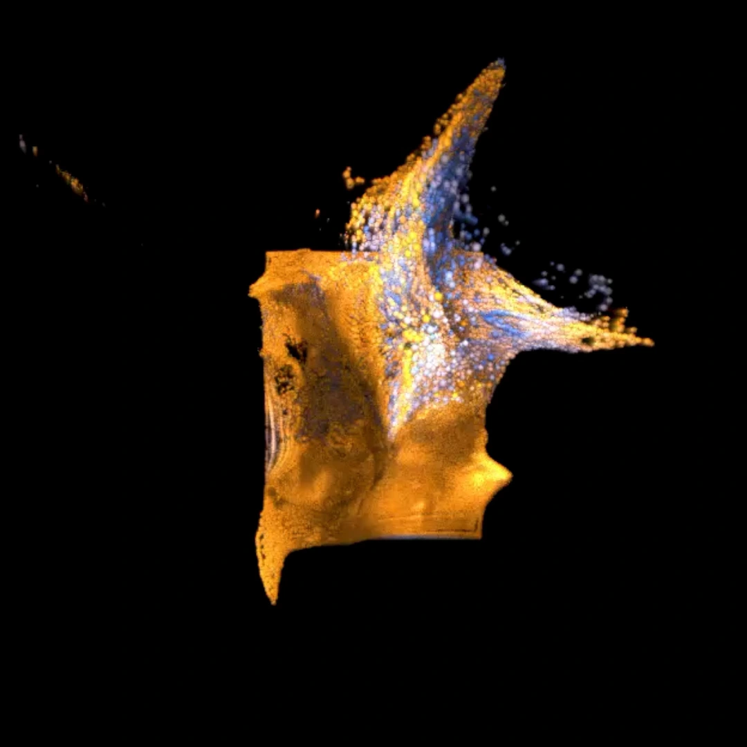 A golden form unfolding into blue and gold particles against black.