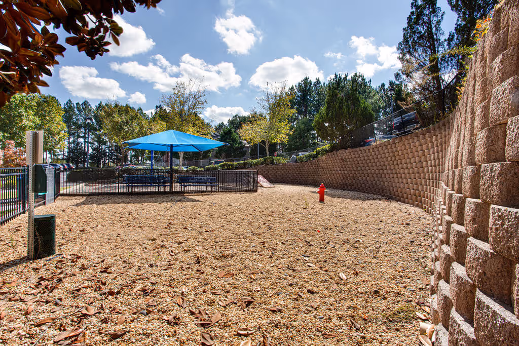 Outdoor dog park with sand