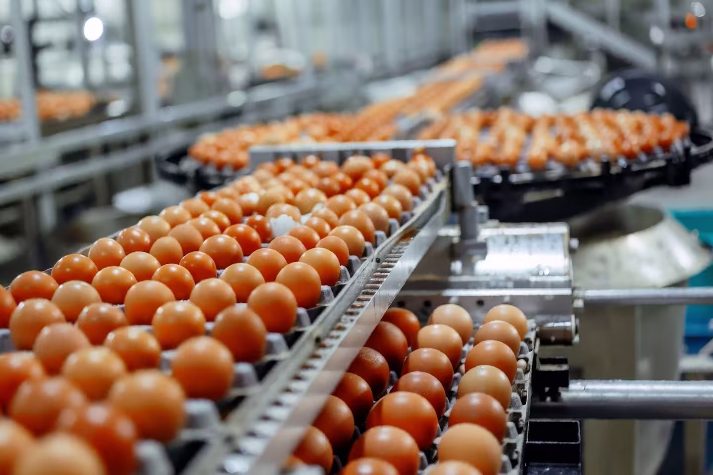 Overtime Lawsuit Filed For Michael Foods Production Workers