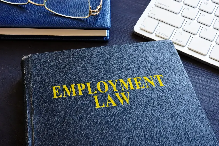 What Is Employment Law?