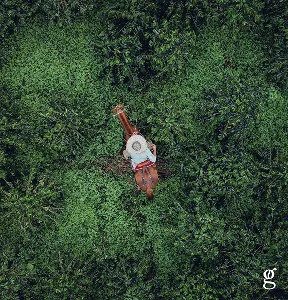 A person sitting on a horse in a forest.