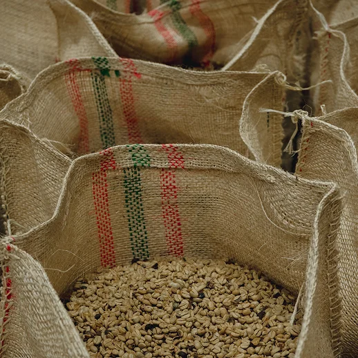 A bag of coffee beans in a brown sack.