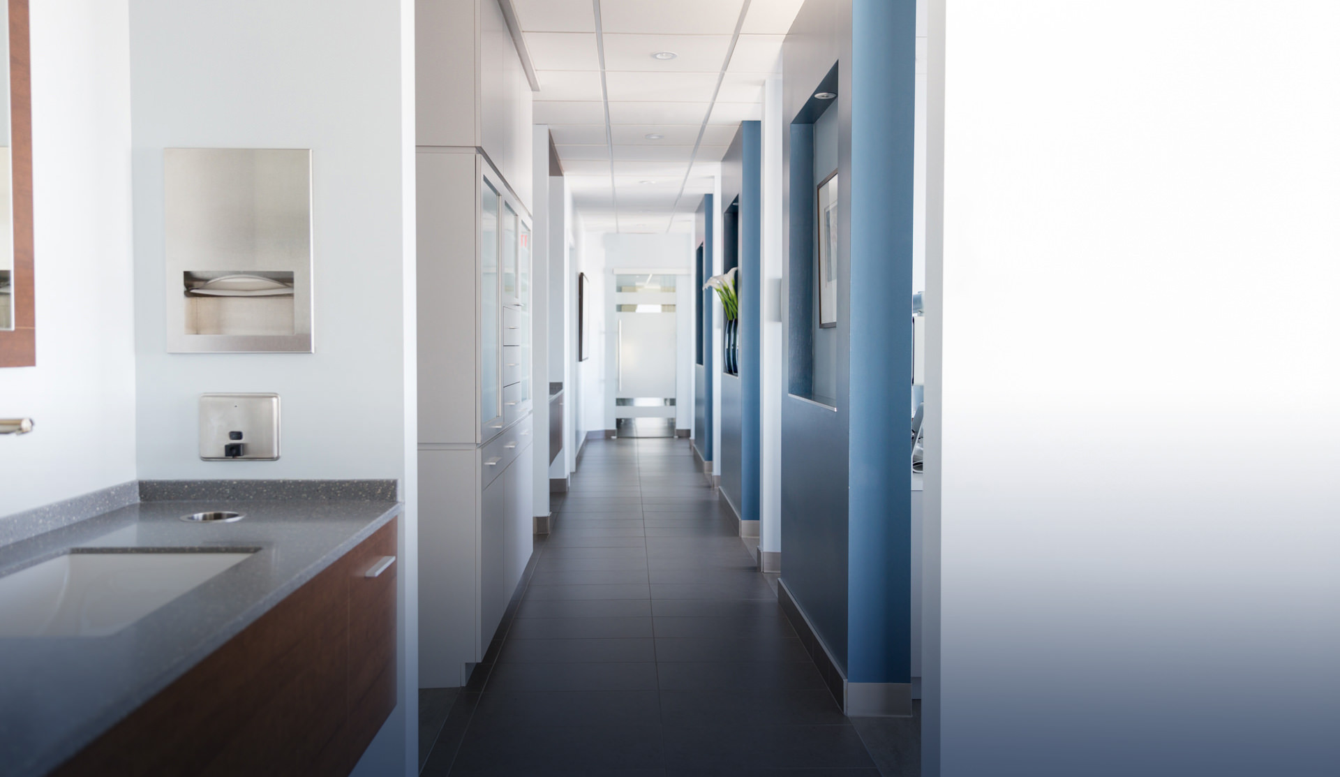 Photo of the Endolotus office