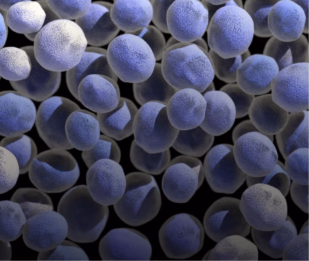 Close-up of multiple spherical, textured blue and gray particles floating against a black background.
