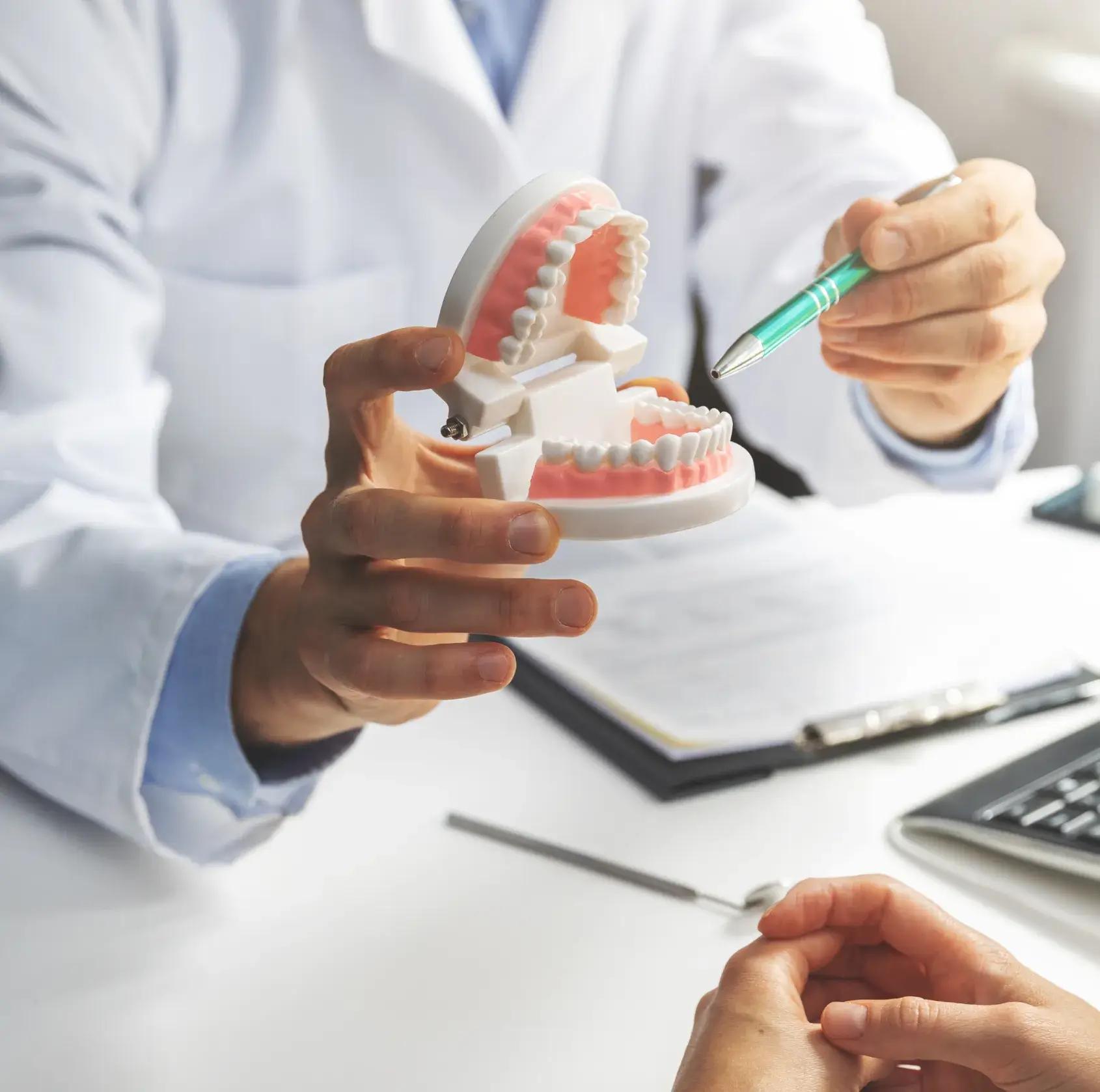 Dentist in white coat holding a dental model and pointing at teeth with a pen during a consultation.