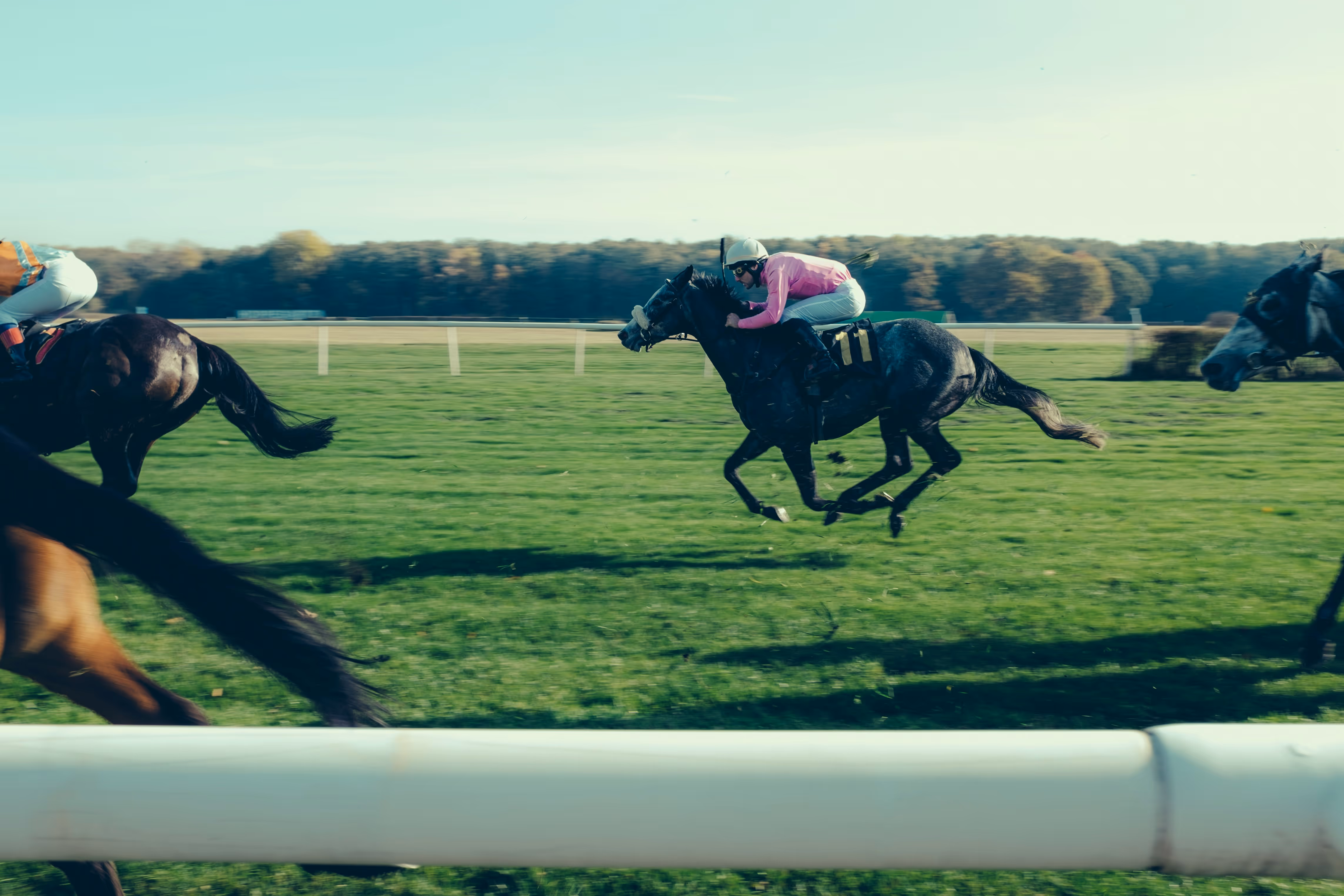 Horse Racing