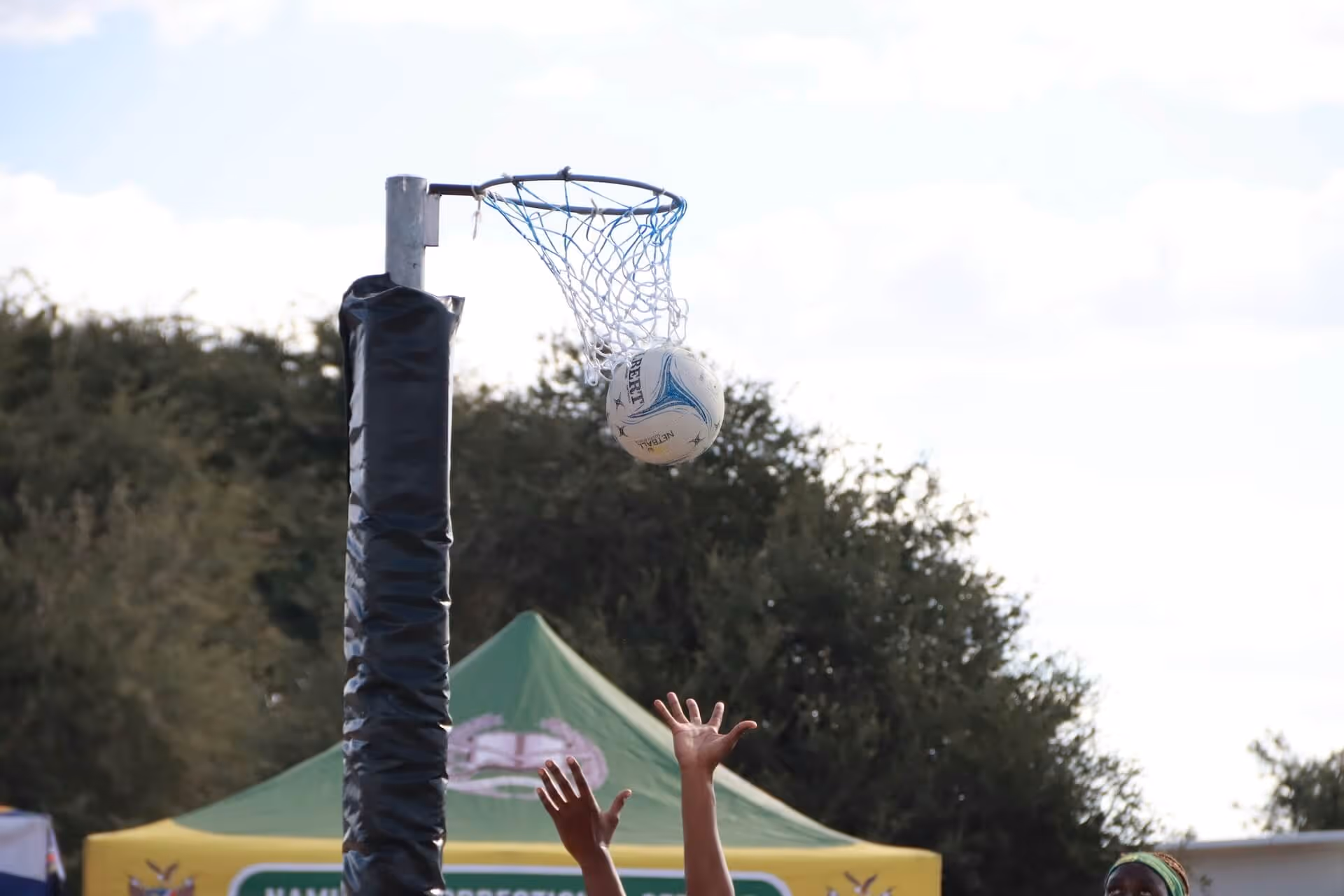 Court Sports