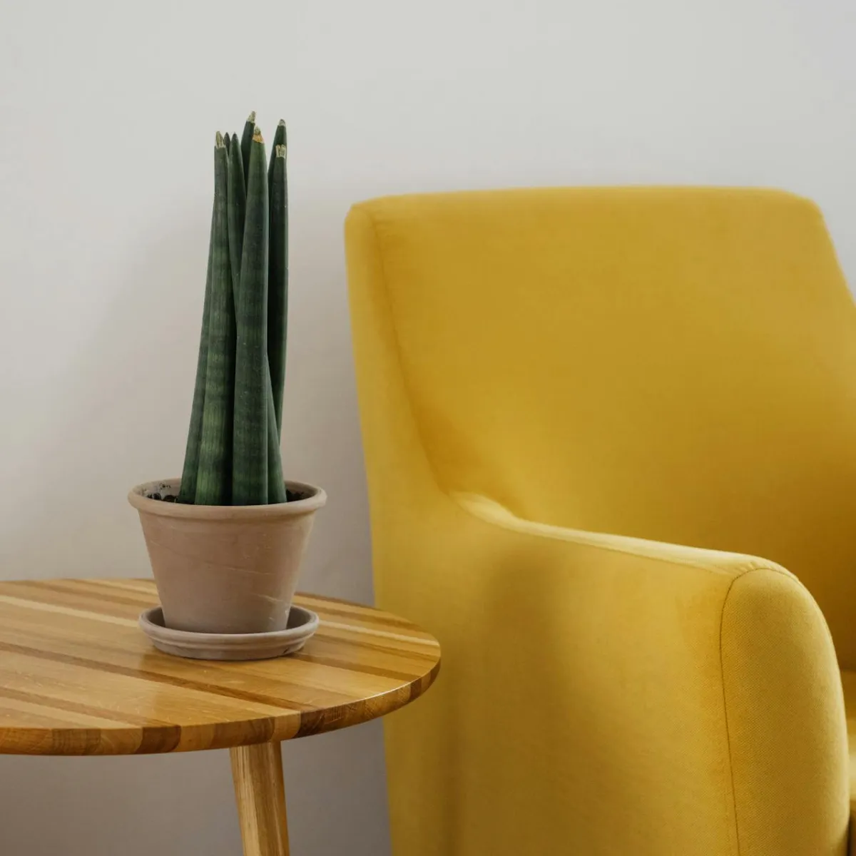 Midcentury modern chair.. Therapy & Counseling at Parsons Empowerment in North Richland Hills, TX