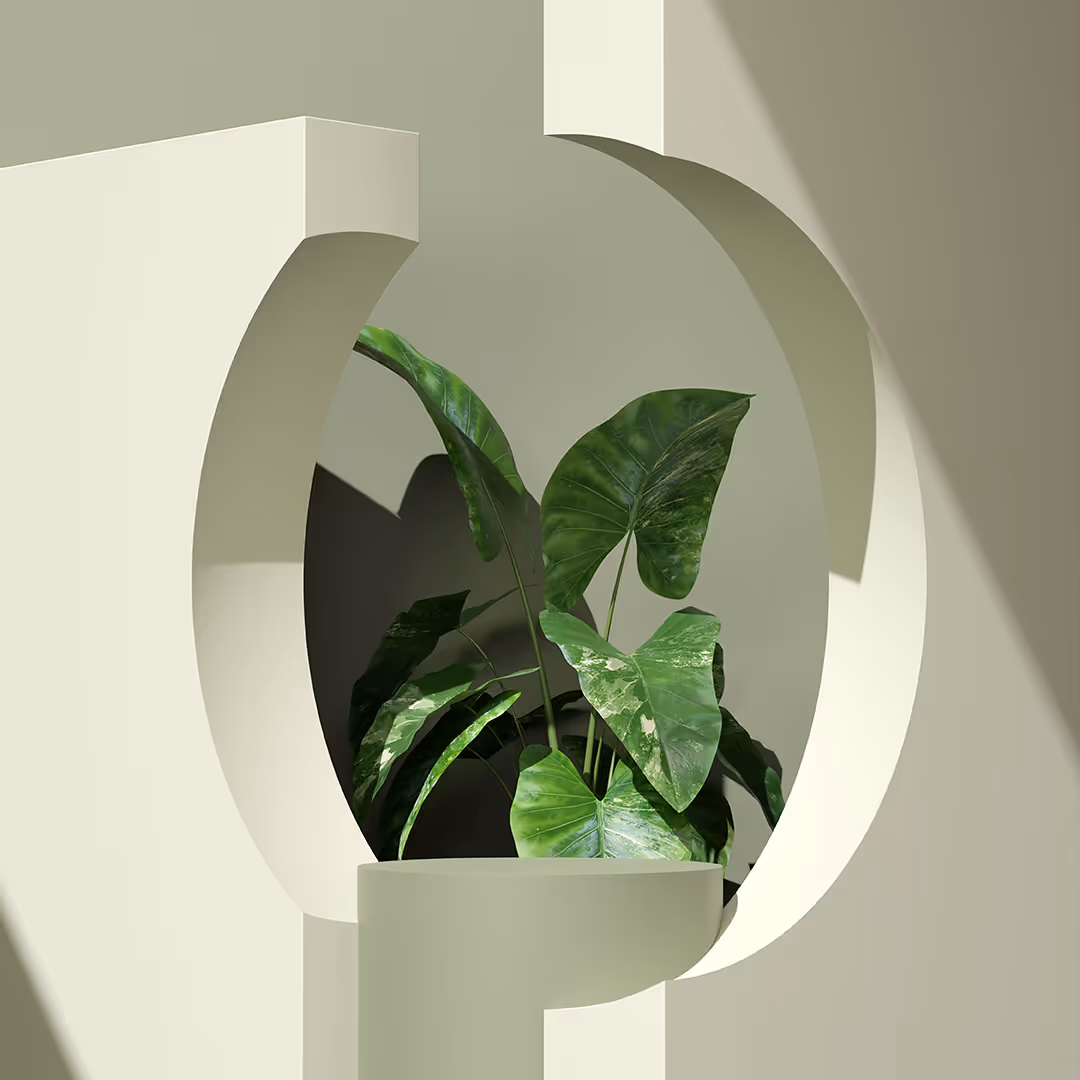 plant. Parsons Empowerment. Mental health therapy and counseling for trauma and grief in North Richland Hills TX