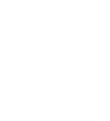 Phone Icon White