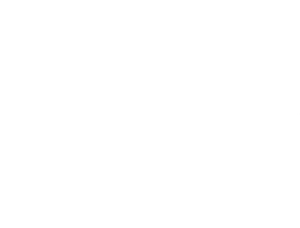 Left Arrow White