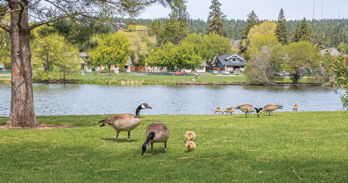 Bengaluru's New Biodiversity Park: Why It Matters to You