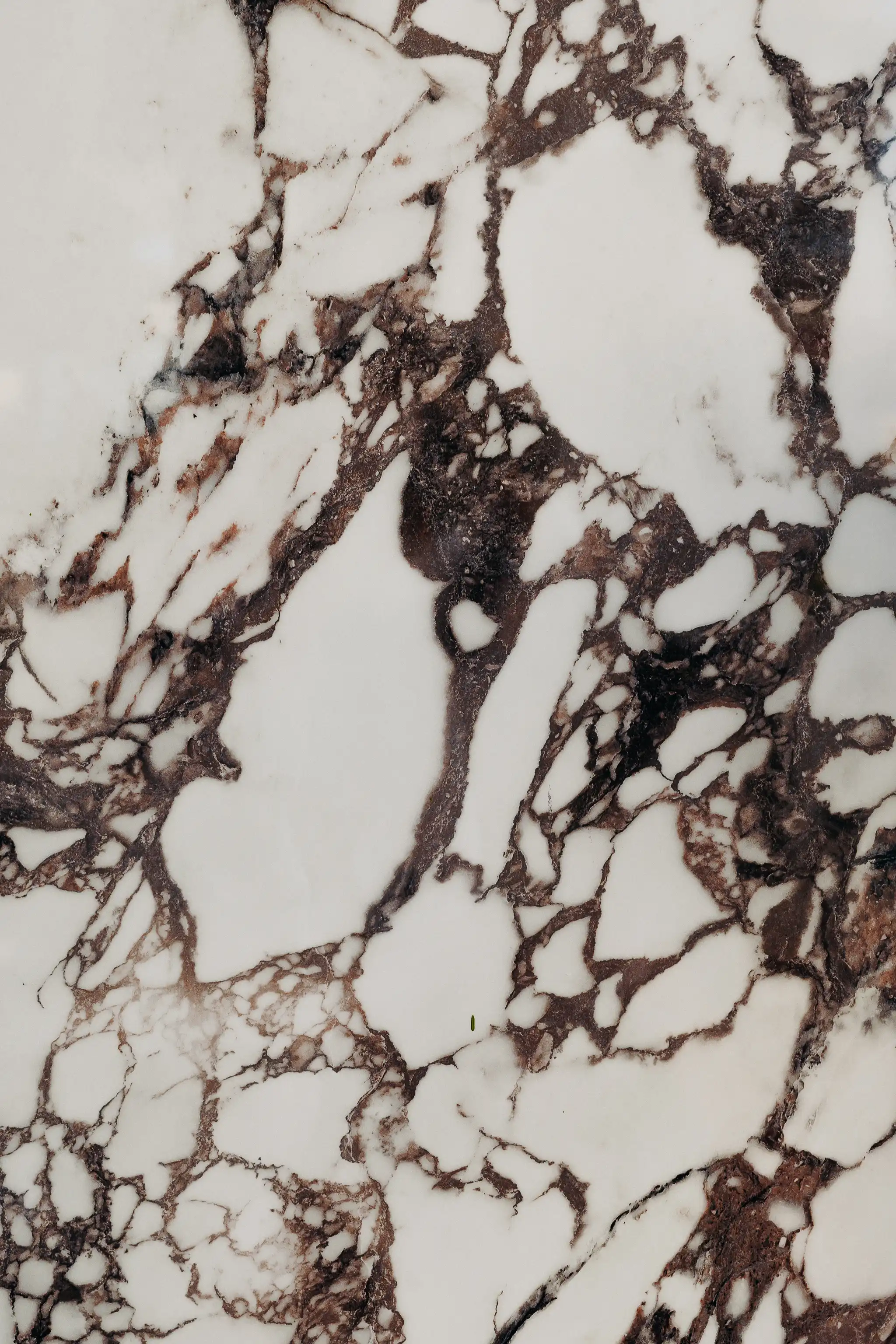 Close-up of white marble surface with irregular dark brown veins and patterns.