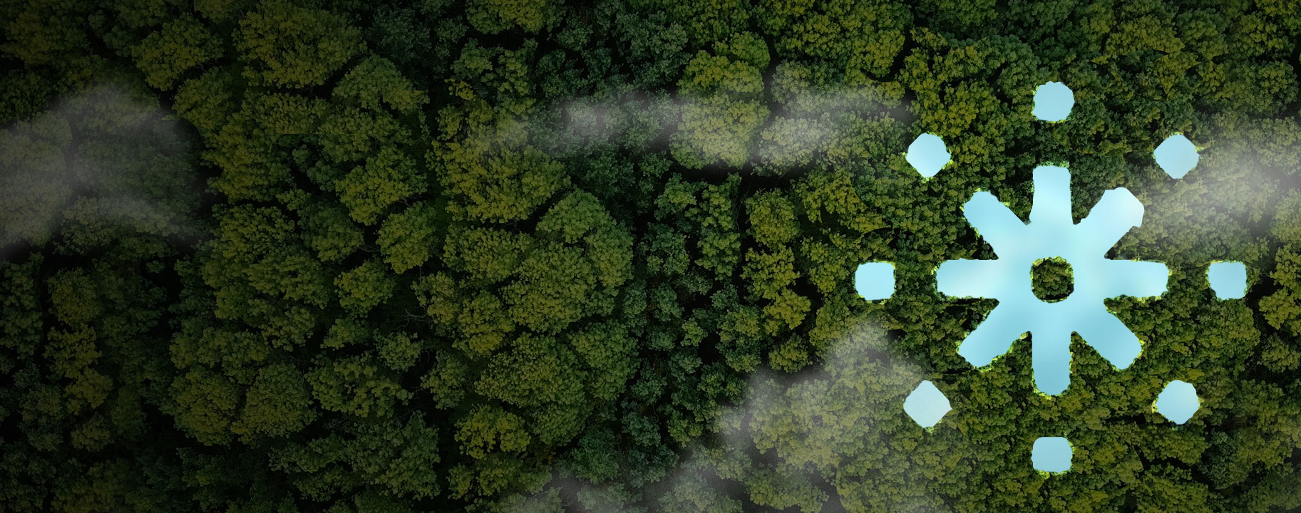 Renewable Diesel Optimization