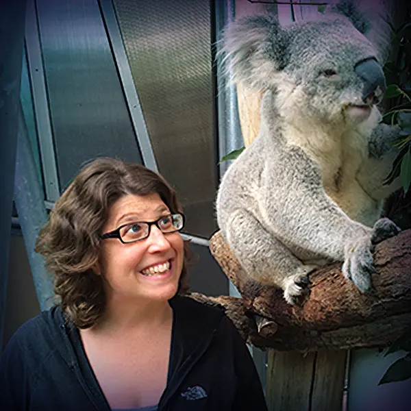 Leslie image with koala