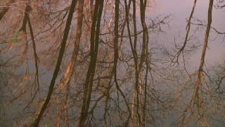 What is Zen all about?