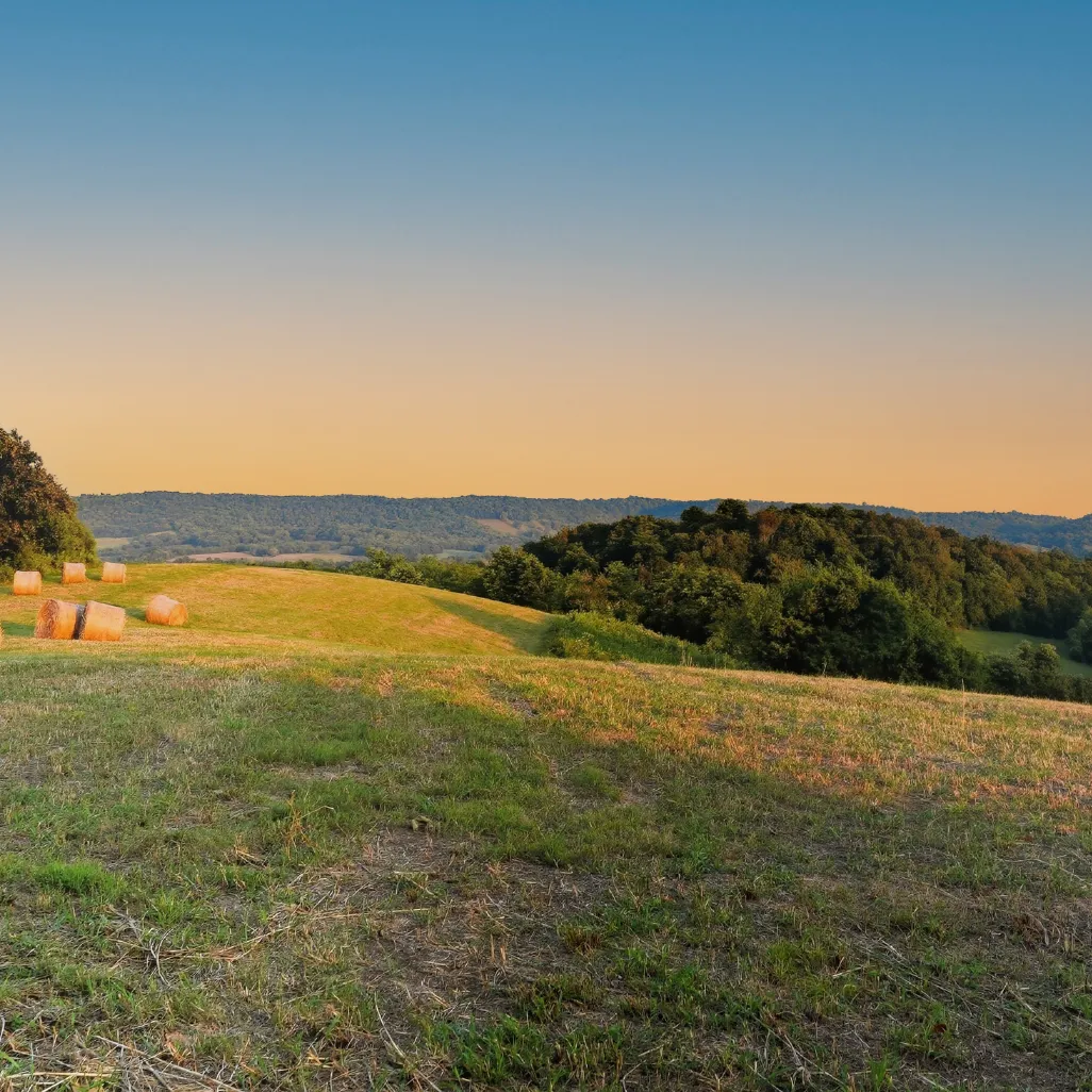 Rolling countryside with hay bales scattered on grassy hills under a clear blue sky at sunset.