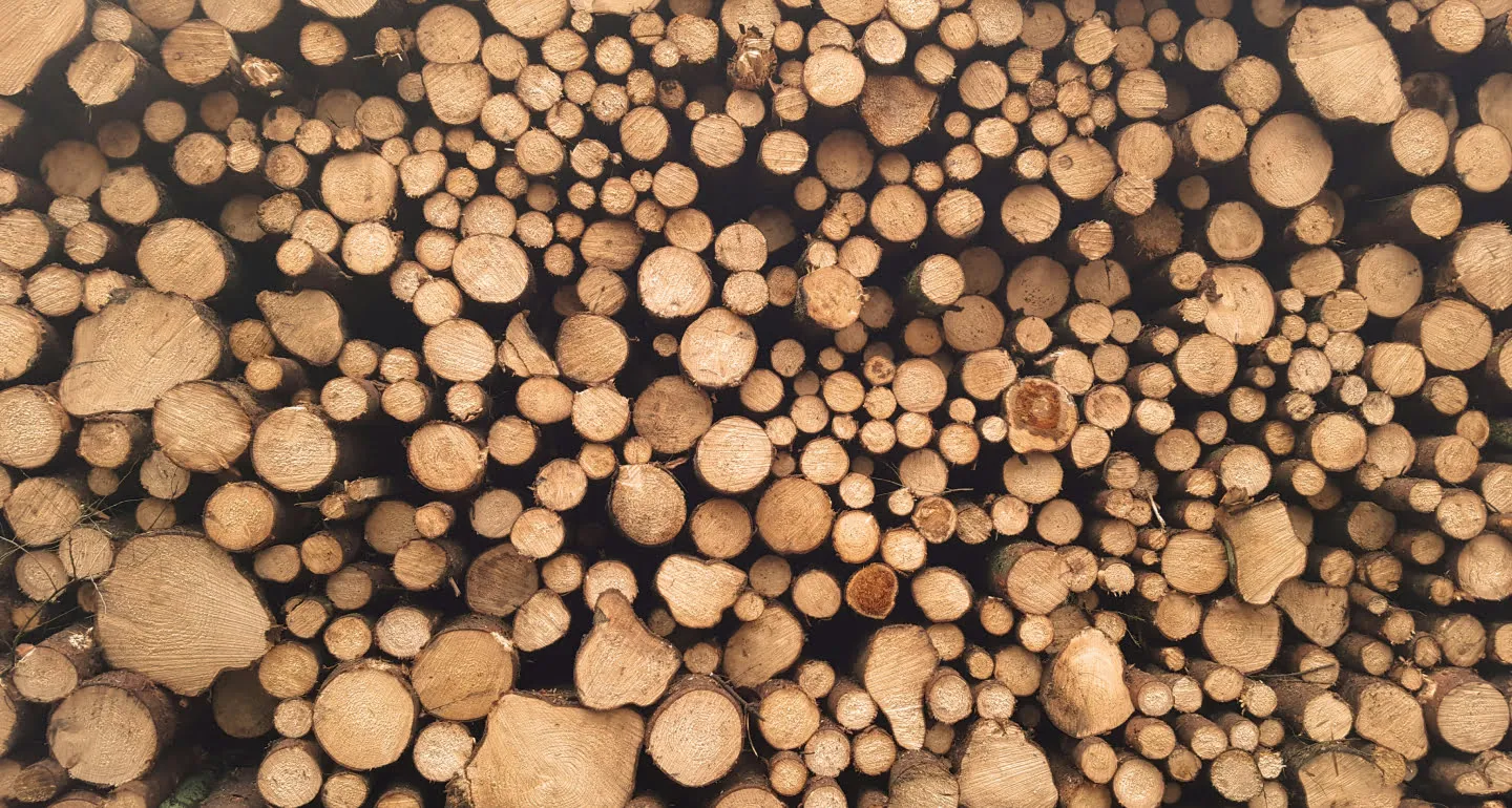 Wood
