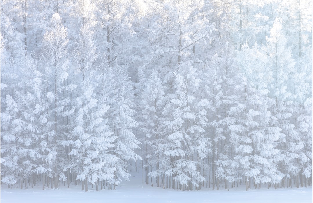 Infographic showing Sisters OR climate impact on heating systems with temperature ranges and seasonal heating demands - heating service company in sisters, or