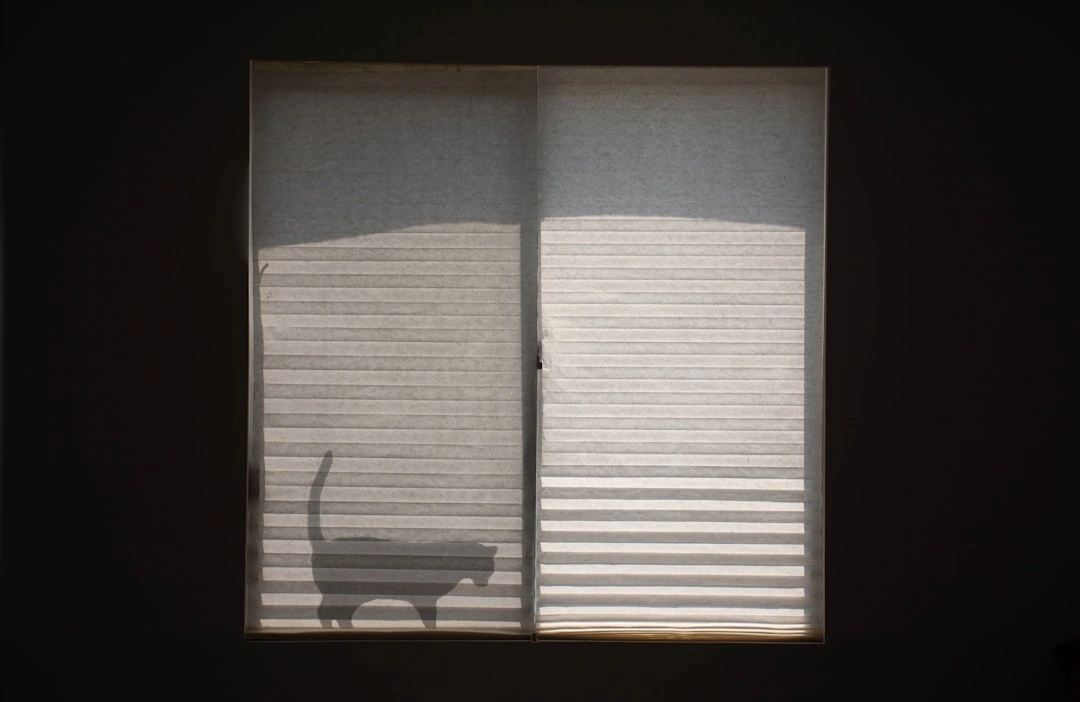 A homeowner sliding a new pleated air filter into their HVAC system - heat pump maintenance tips for homeowners A homeowner sliding a new pleated air filter into their HVAC system - heat pump maintenance tips for homeowners
