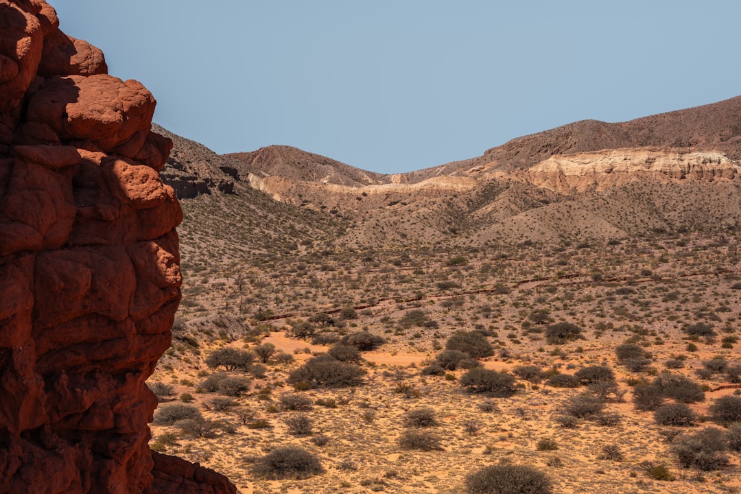 Desert Living and Your Mini Split