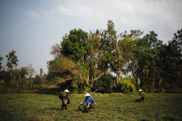 Graduating With Hope