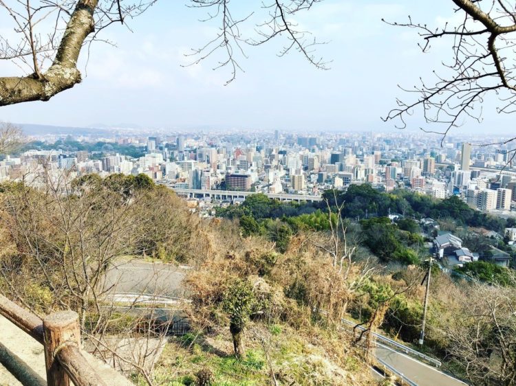 Land of the Risen Son