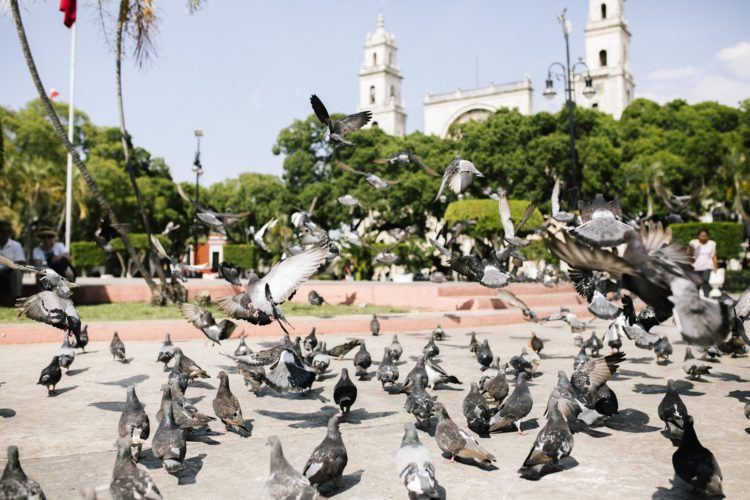 Passion for Prayer Walking 