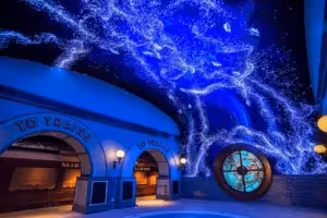 St. Louis Aquarium Design