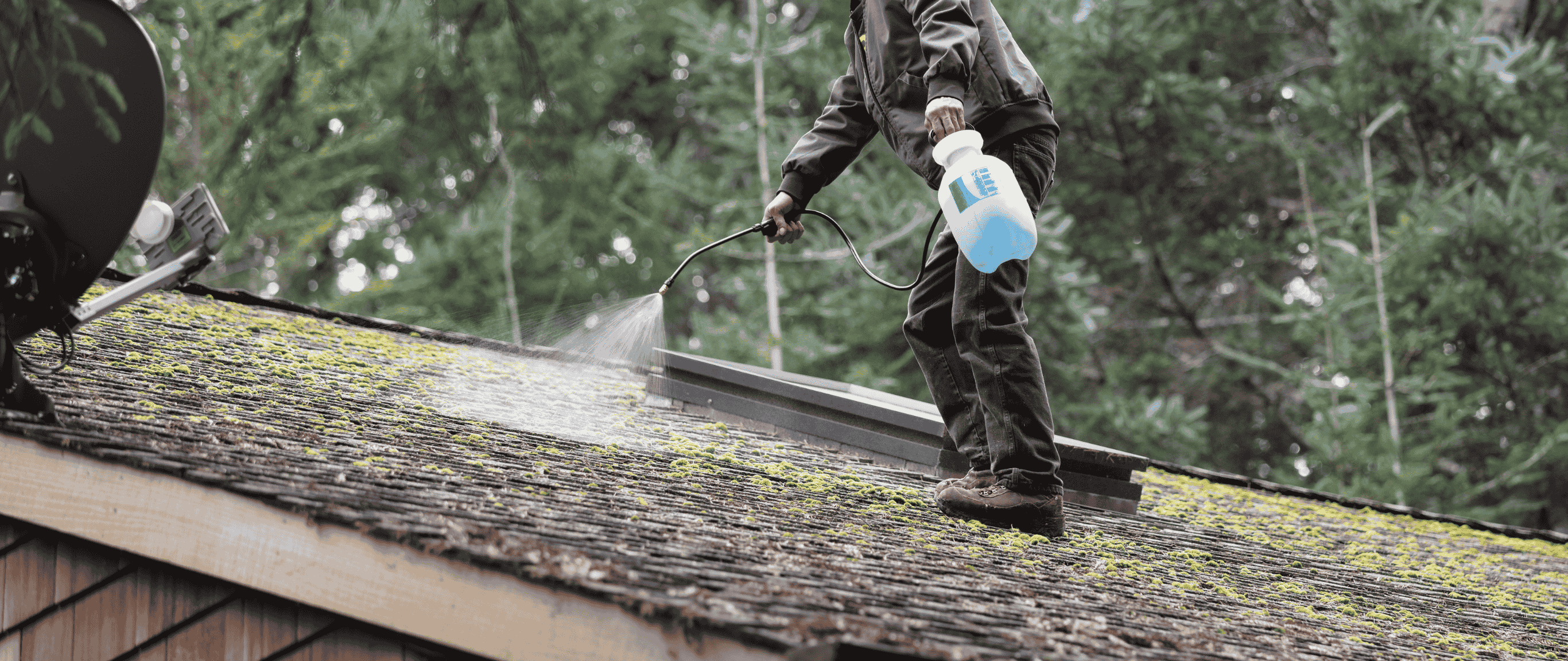 Roof & Gutters Cleaning
