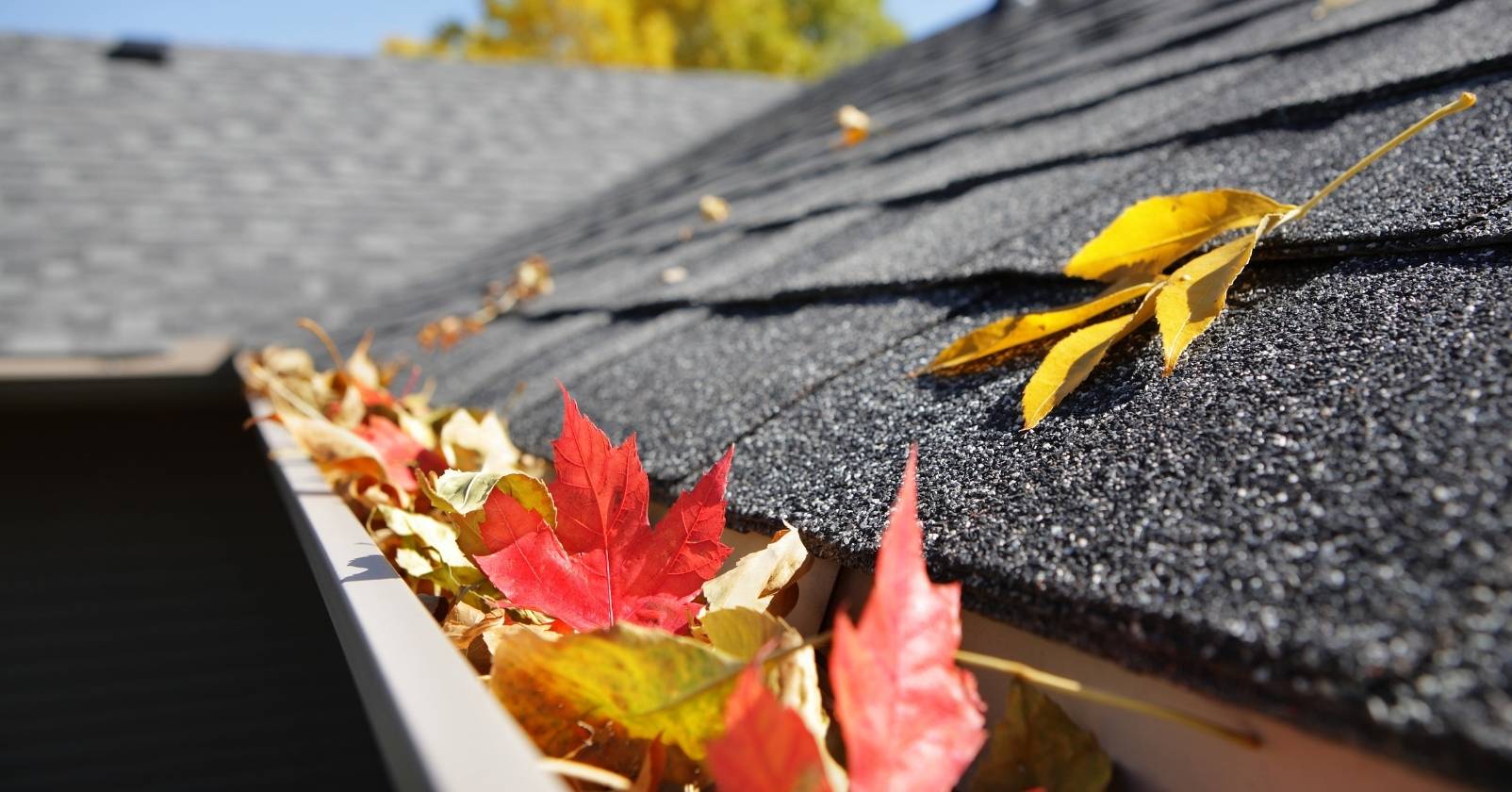 Cleaning Gutters in Richmond BC by Level Up Canadian Roofing & Exteriors