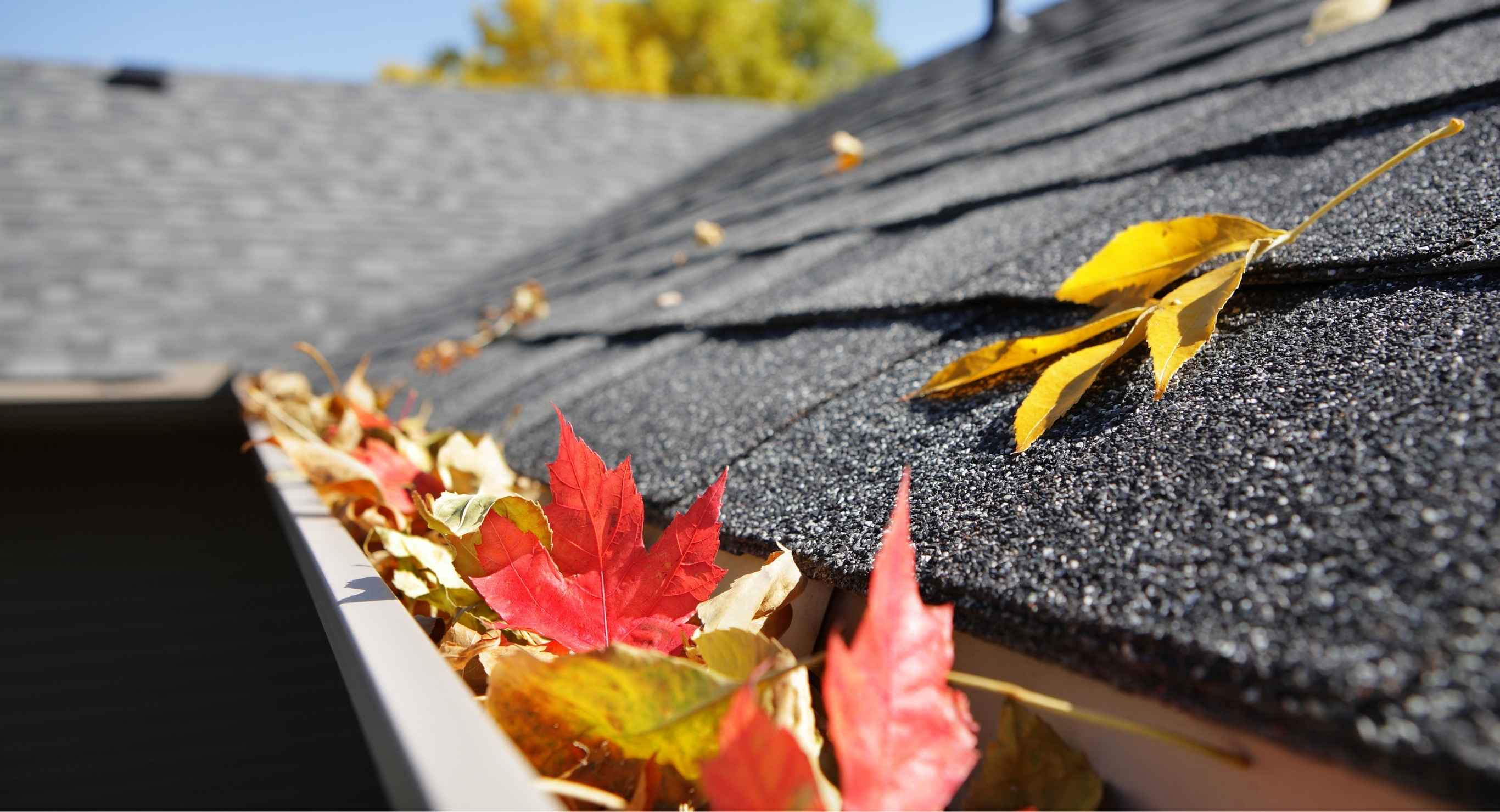 How Often Should You Clean Your Gutters in the Lower Mainland?