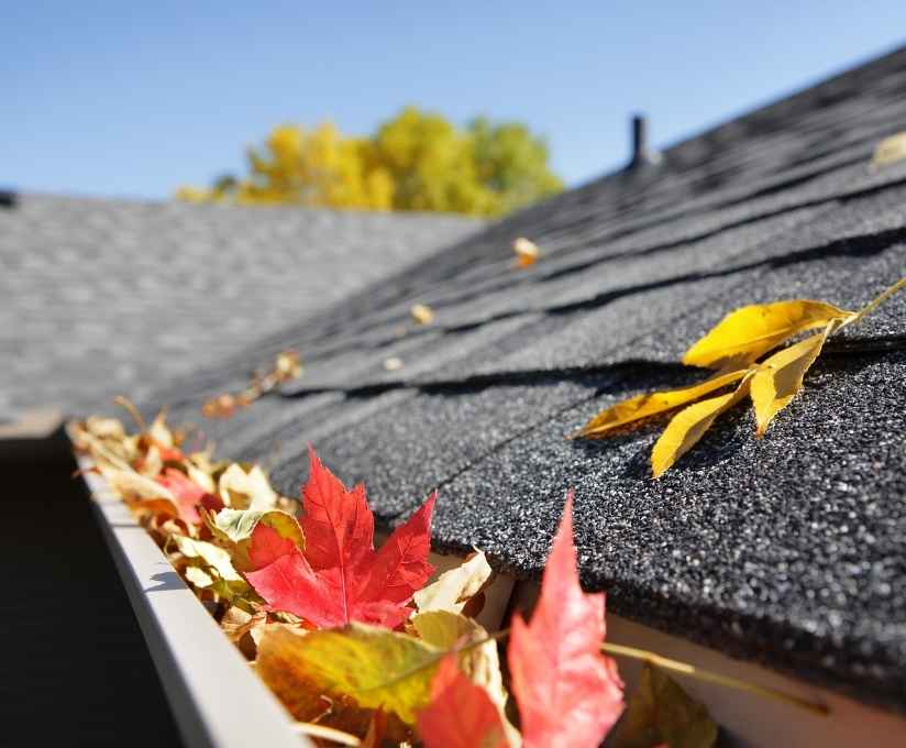How Often Should You Clean Your Gutters in the Lower Mainland?