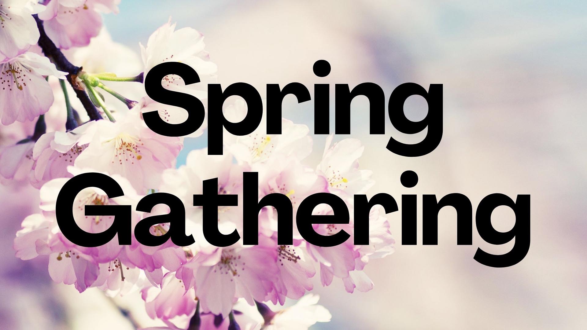 gather brighton events and studios