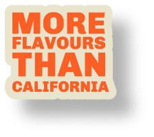 More Flavours Than California slogan – Fryem fried chicken restaurant in Beeston, Leeds