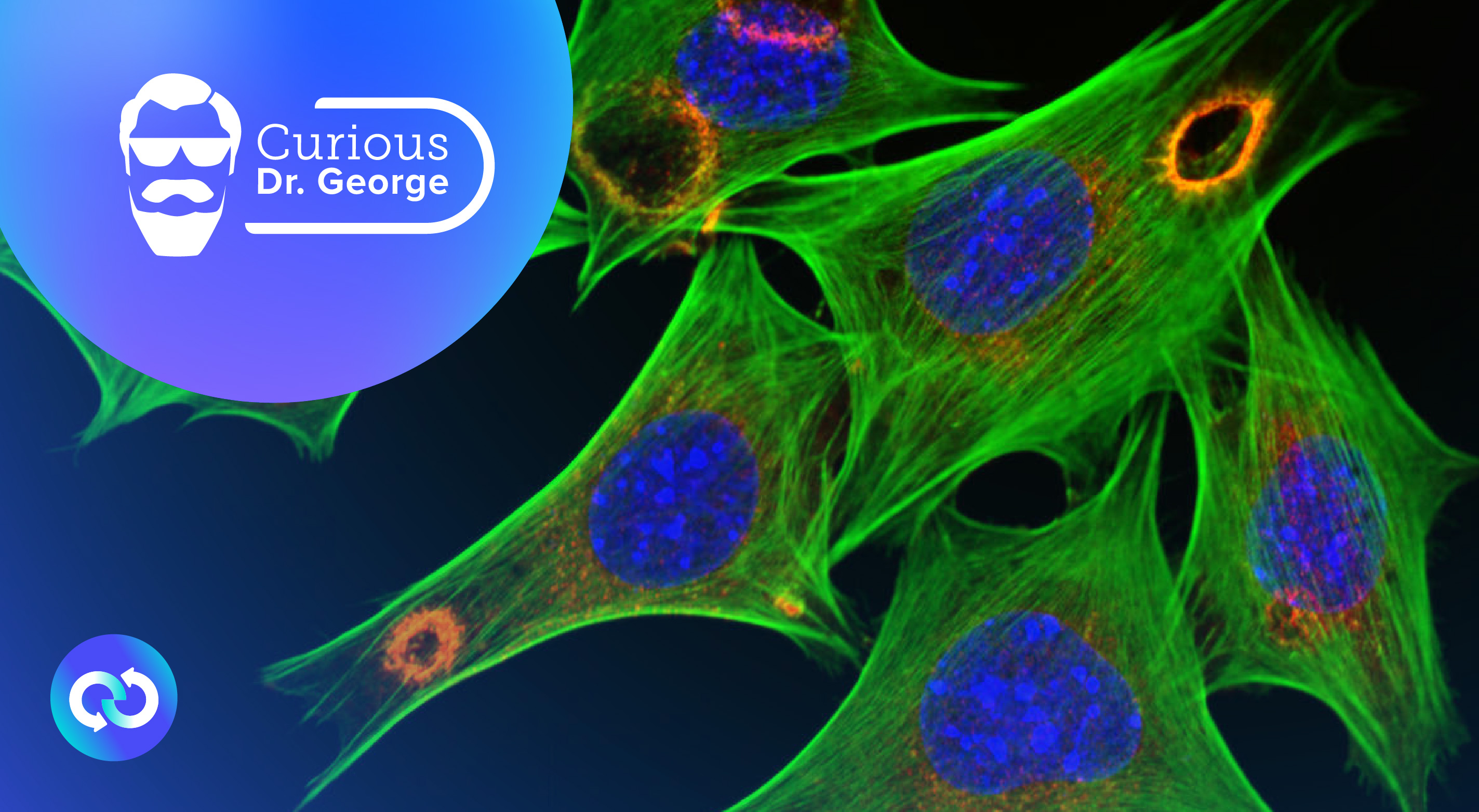 SAGE Oncotest: Entering the Next Generation of Tailored Cancer Treatment