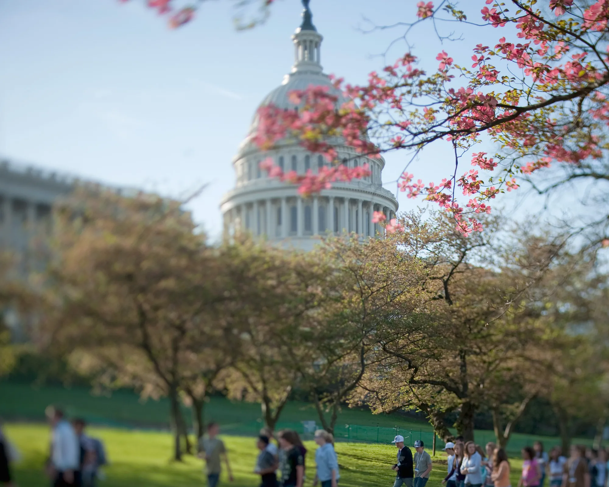 The U.S. Capitol in spring