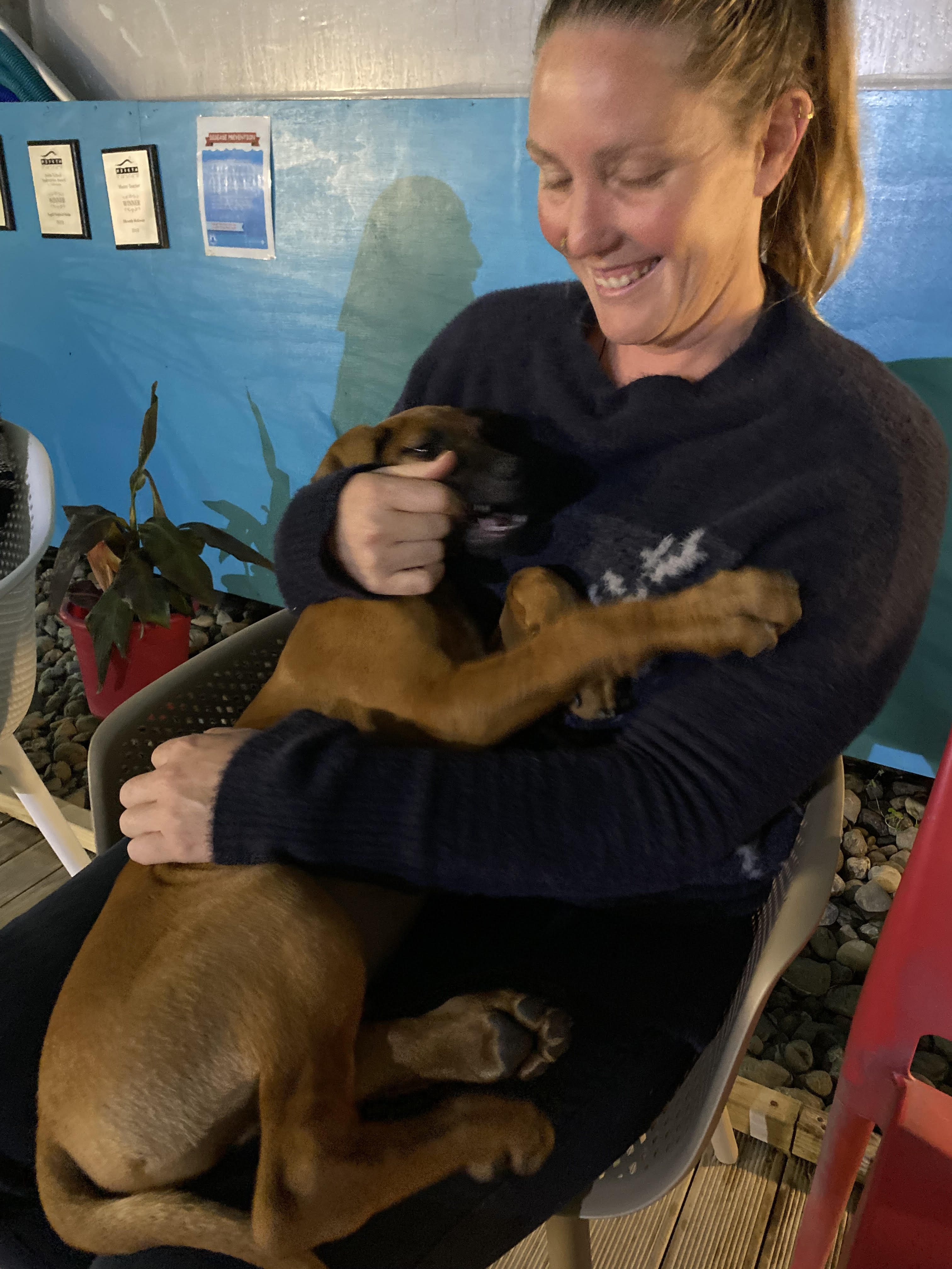 image of vet with dog)