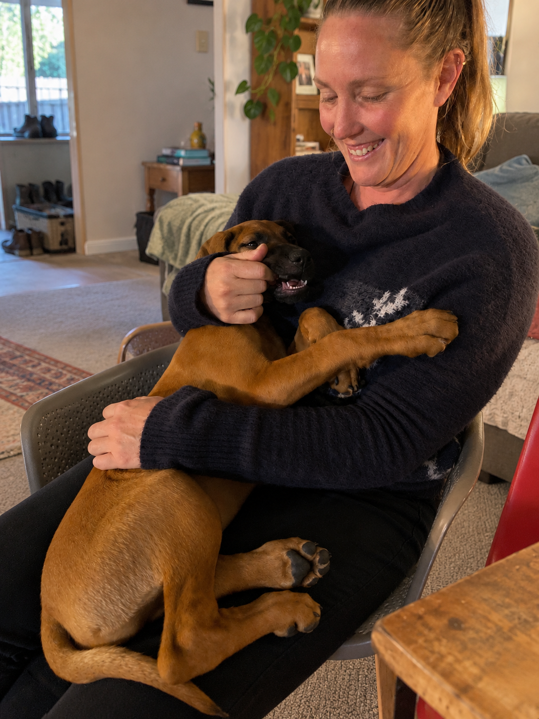 image of vet with dog)