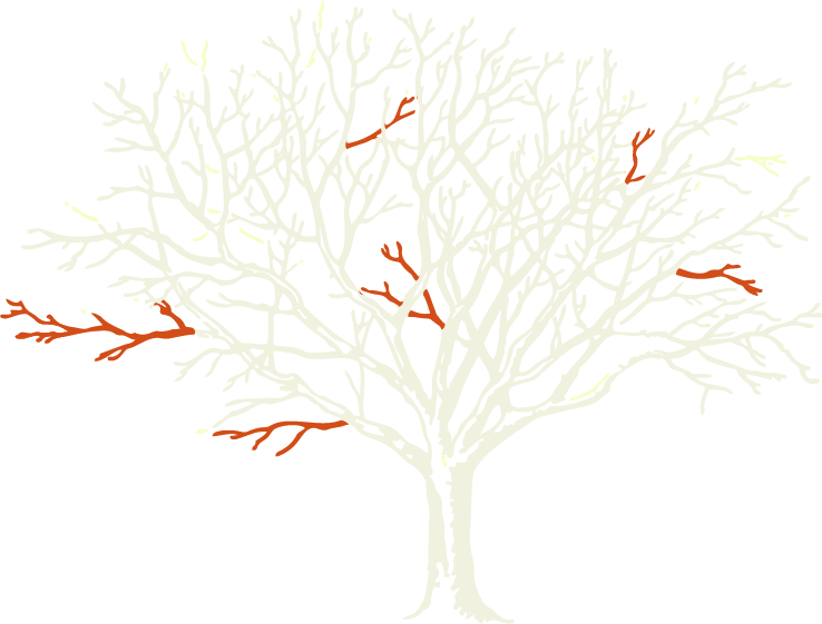 Illustration eines Baums mit farblichen Markierungen im Geäst zur Veranschaulichung einer Totholzentfernung