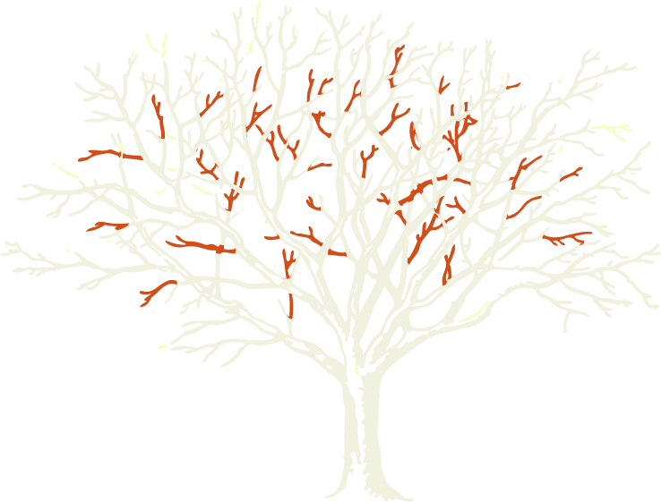 Illustration eines Baums mit farblichen Markierungen im Geäst zur Veranschaulichung einer Auslichtung