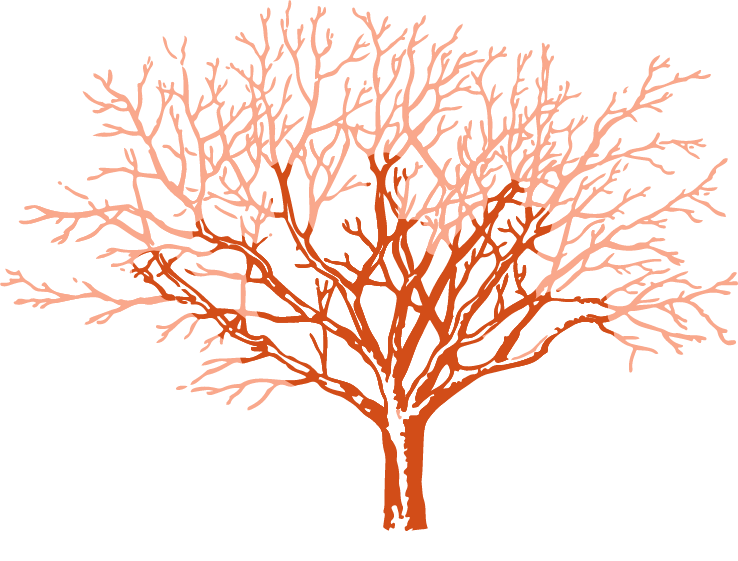 Illustration eines Baums mit farblichen Markierungen im Geäst zur Veranschaulichung einer Kletterfällung