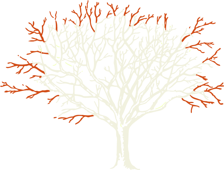 Illustration eines Baums mit farblichen Markierungen im Geäst zur Veranschaulichung einer Kroneneinkürzung