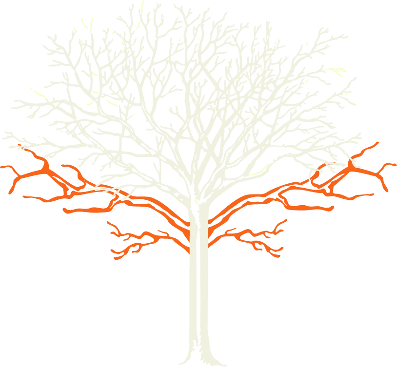 Illustration eines Baums mit farblichen Markierungen im Geäst zur Veranschaulichung des Lichtraumprofilschnitts
