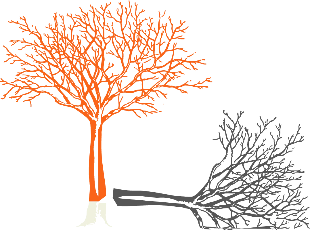 Illustration eines zu fällenden Baums zur Veranschaulichung der Direktfällung